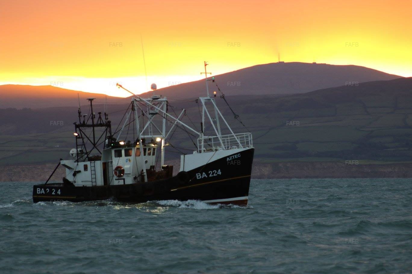 Large picture for advert 104631