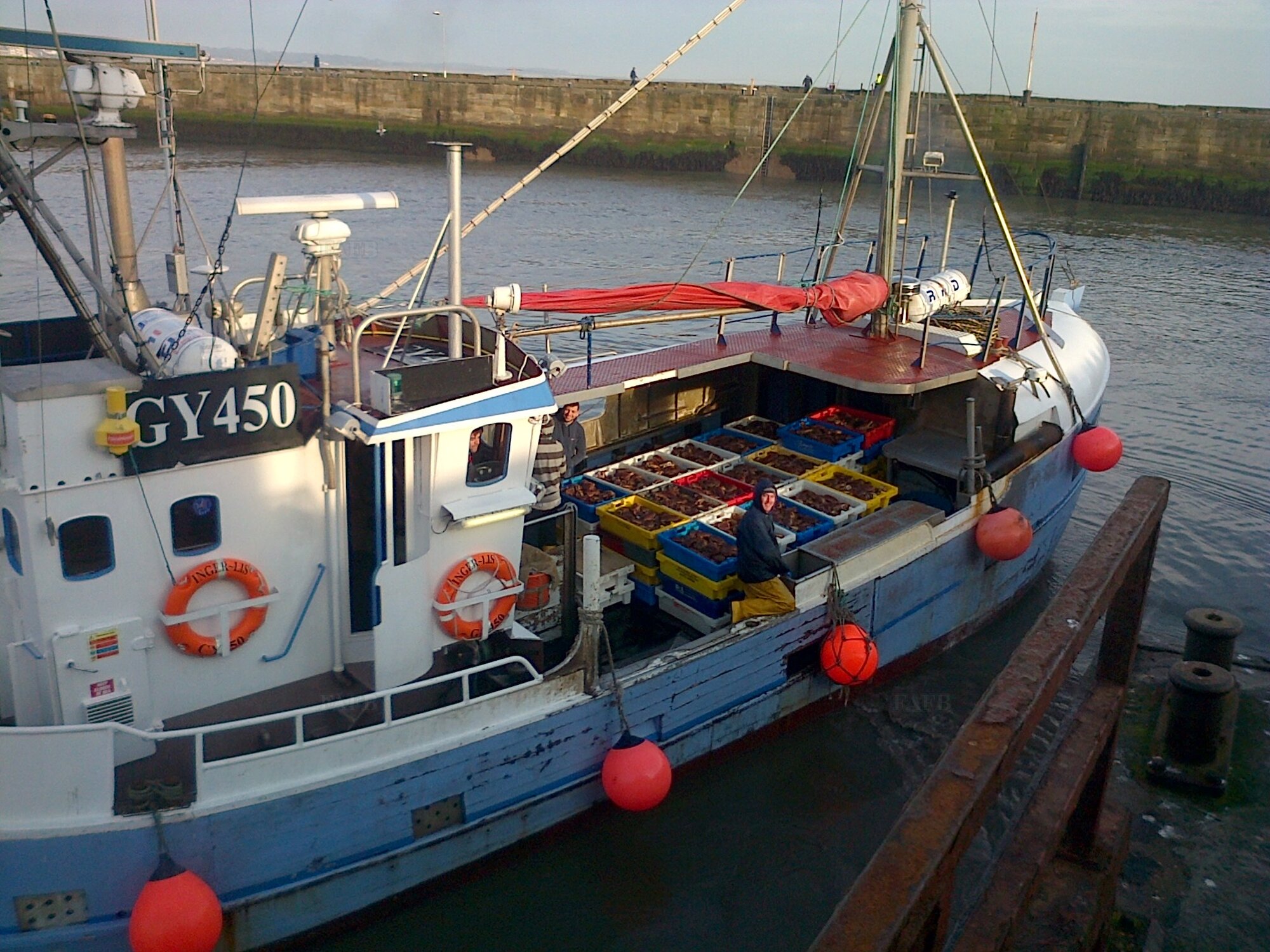 Large picture for advert 114931