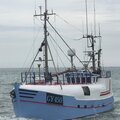 Extra picture for advert 114931