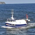 Extra picture for advert 128831