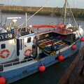 Extra picture for advert 114931
