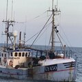 Extra picture for advert 114931